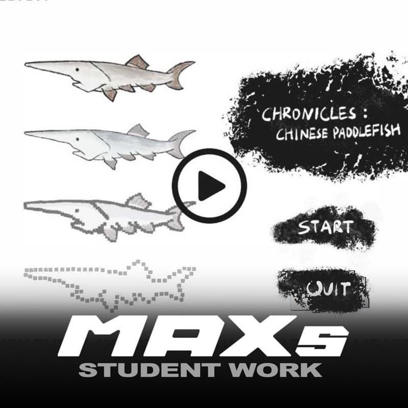 Game Design: Chronicles Chinese Paddlefish | MAXs Student Work 2024