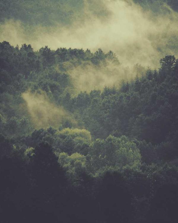 Character Design - Cyber Warrior