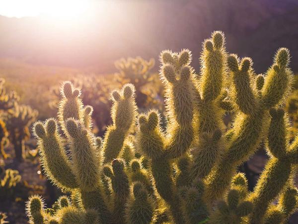 Hard Surface Modeling