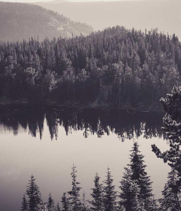 Stylized Environment